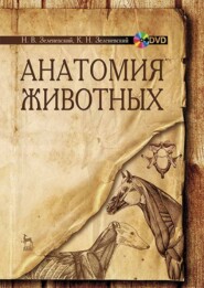 бесплатно читать книгу Анатомия животных автора Николай Зеленевский
