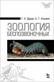 бесплатно читать книгу Зоология беспозвоночных автора Т. Дауда