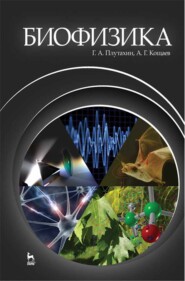 бесплатно читать книгу Биофизика автора Г. Плутахин