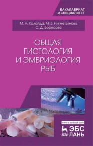бесплатно читать книгу Общая гистология и эмбриология рыб автора М. Нигметзянова