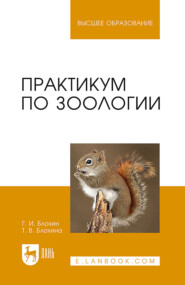 бесплатно читать книгу Практикум по зоологии автора Г. Блохин