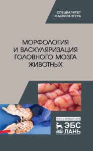 бесплатно читать книгу Морфология и васкуляризация головного мозга животных автора  Коллектив авторов