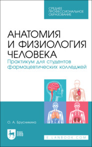 бесплатно читать книгу Анатомия и физиология человека. Практикум для студентов фармацевтических колледжей автора О. Брусникина