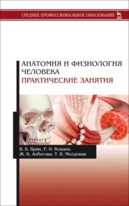 бесплатно читать книгу Анатомия и физиология человека. Практические занятия автора Т. Молдован