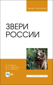бесплатно читать книгу Звери России автора М. Шевнина
