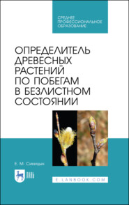 бесплатно читать книгу Определитель древесных растений по побегам в безлистном состоянии автора Е. Синицын
