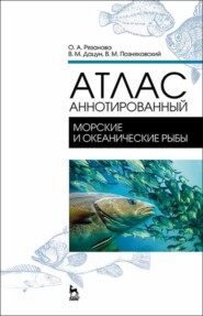 бесплатно читать книгу Атлас аннотированный. Морские и океанические рыбы автора В. Дацун