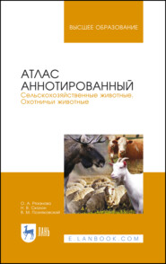 бесплатно читать книгу Атлас аннотированный. Сельскохозяйственные животные. Охотничьи животные автора Н. Скалон