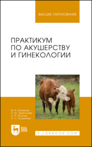 бесплатно читать книгу Практикум по акушерству и гинекологии автора О. Багданова