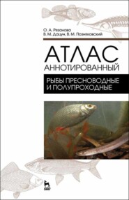 бесплатно читать книгу Атлас аннотированный. Рыбы пресноводные и полупрохордные автора В. Дацун