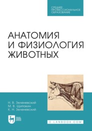 бесплатно читать книгу Анатомия и физиология животных. Учебник для СПО автора Михаил Щипакин