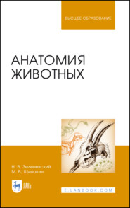 бесплатно читать книгу Анатомия животных автора Михаил Щипакин