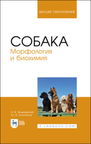 бесплатно читать книгу Собака. Морфология и биохимия автора Ю. Конопатов