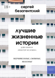 бесплатно читать книгу Лучшие жизненные истории. Дзен-канала «Риэлтор не нужен!» автора Сергей Безагентский