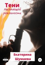 бесплатно читать книгу Тени пылающей реальности автора Екатерина Шумаева