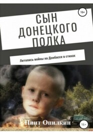 бесплатно читать книгу Сын донецкого полка автора Пиит Опилкин