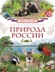 бесплатно читать книгу Природа России автора Ирина Рысакова