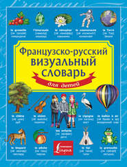 бесплатно читать книгу Французско-русский визуальный словарь для детей автора Георгий Геннис