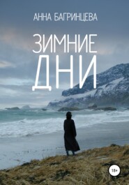 бесплатно читать книгу Зимние дни автора Анна Багринцева