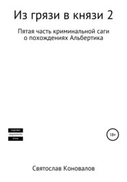 бесплатно читать книгу Из грязи в князи 2 автора Святослав Коновалов