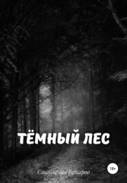 бесплатно читать книгу Тёмный лес автора Станислав Бочаров