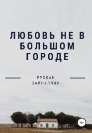 бесплатно читать книгу Любовь не в большом городе автора Руслан Зайнуллин