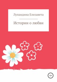 бесплатно читать книгу Истории о любви автора  Лупандина Елизавета