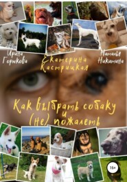 бесплатно читать книгу Как выбрать собаку и (не) пожалеть автора Наталья Никитина
