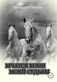 бесплатно читать книгу Мчатся кони моей судьбы автора Константин Еланцев