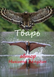 бесплатно читать книгу Тварь автора Никита Белугин