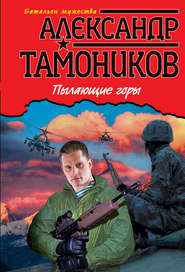 бесплатно читать книгу Пылающие горы автора Александр Тамоников