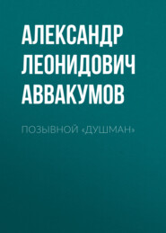 бесплатно читать книгу Позывной «Душман» автора Александр Аввакумов
