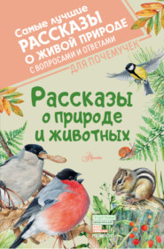 бесплатно читать книгу Рассказы о природе и животных автора Владимир Архипов