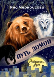 бесплатно читать книгу Путь домой. Лабиринты дорог автора Яна Черноусова