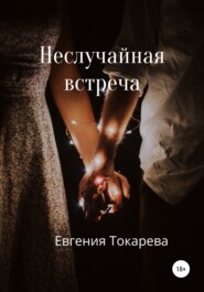 бесплатно читать книгу Неслучайная встреча автора Евгения Токарева