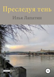 бесплатно читать книгу Преследуя тень автора Илья Лапатин