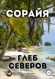бесплатно читать книгу Сорайя автора Дмитрий Васильев