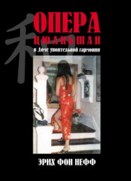 бесплатно читать книгу Опера Цюаньшан автора Эрих Нефф