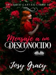 бесплатно читать книгу Mensaje A Un Desconocido автора Josy Gracy