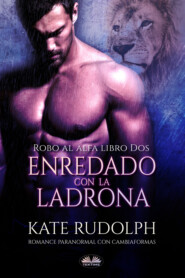 бесплатно читать книгу Enredado Con La Ladrona автора Kate Rudolph