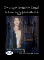 бесплатно читать книгу Zwartgevleugelde Engel автора Amy Blankenship