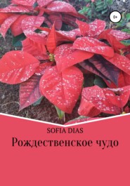бесплатно читать книгу Рождественское Чудо автора  Sofia Dias