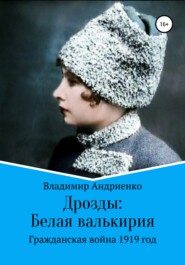 бесплатно читать книгу Дрозды: Белая Валькирия автора Владимир Андриенко