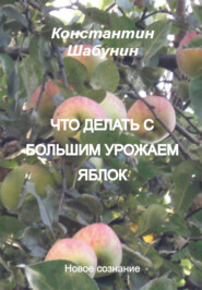 бесплатно читать книгу Что делать с большим урожаем яблок? автора Константин Шабунин