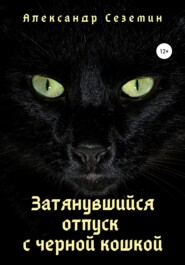 бесплатно читать книгу Затянувшийся отпуск с черной кошкой автора Александр Сеземин