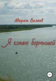 бесплатно читать книгу Я копаю бормышей автора Марат Валеев