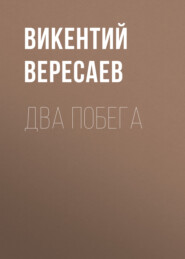 бесплатно читать книгу Два побега автора Викентий Вересаев