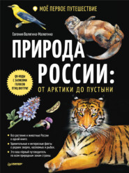 бесплатно читать книгу Природа России: от Арктики до пустыни. Моё первое путешествие автора Евгения Валягина-Малютина