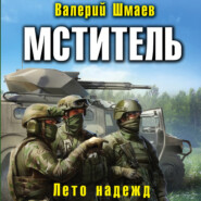 бесплатно читать книгу Мститель. Лето надежд автора Валерий Шмаев