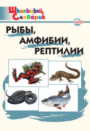 бесплатно читать книгу Рыбы, амфибии, рептилии. Начальная школа автора Литагент ТеревинфDRM